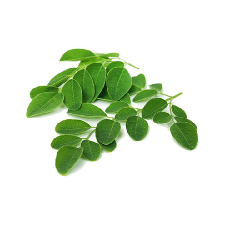 Normadex enthält Moringablätter, ein wirksames natürliches Heilmittel gegen Parasiten